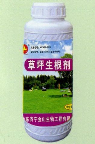點(diǎn)擊查看詳細(xì)信息<br>標(biāo)題:草坪生根劑 閱讀次數(shù):1806