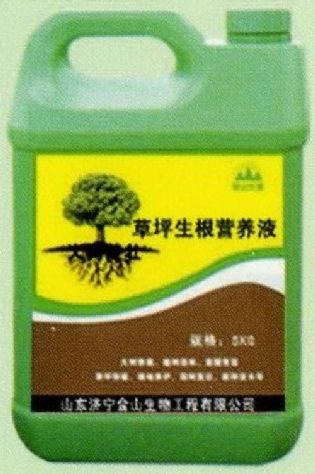 點(diǎn)擊查看詳細(xì)信息<br>標(biāo)題:草坪生根營(yíng)養(yǎng)液 閱讀次數(shù):2104