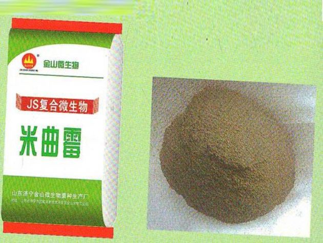 點(diǎn)擊查看詳細(xì)信息<br>標(biāo)題：米曲霉 閱讀次數(shù)：2400